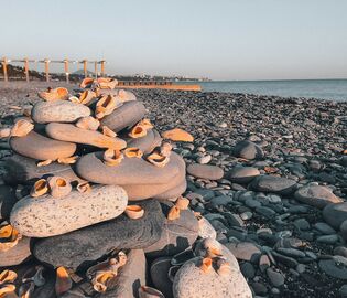Эксперт рассказала, чем заняться на новогодних праздниках в Анапе Эксперт рассказала, чем заняться на новогодних праздниках в Анапе
