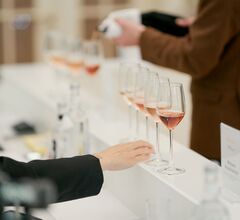 В Абрау-Дюрсо выберут лучшие вина для ресторанов В Абрау-Дюрсо выберут лучшие вина для ресторанов