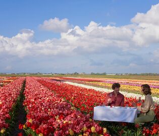 ANANTARA GRAND HOTEL KRASNAPOLSKY AMSTERDAM предлагает полюбоваться тюльпанами ANANTARA GRAND HOTEL KRASNAPOLSKY AMSTERDAM предлагает полюбоваться тюльпанами