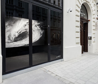 В Вене снова открылся Музей Фрейда