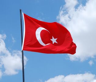 В Турции растет число заболевших штаммом «дельта»