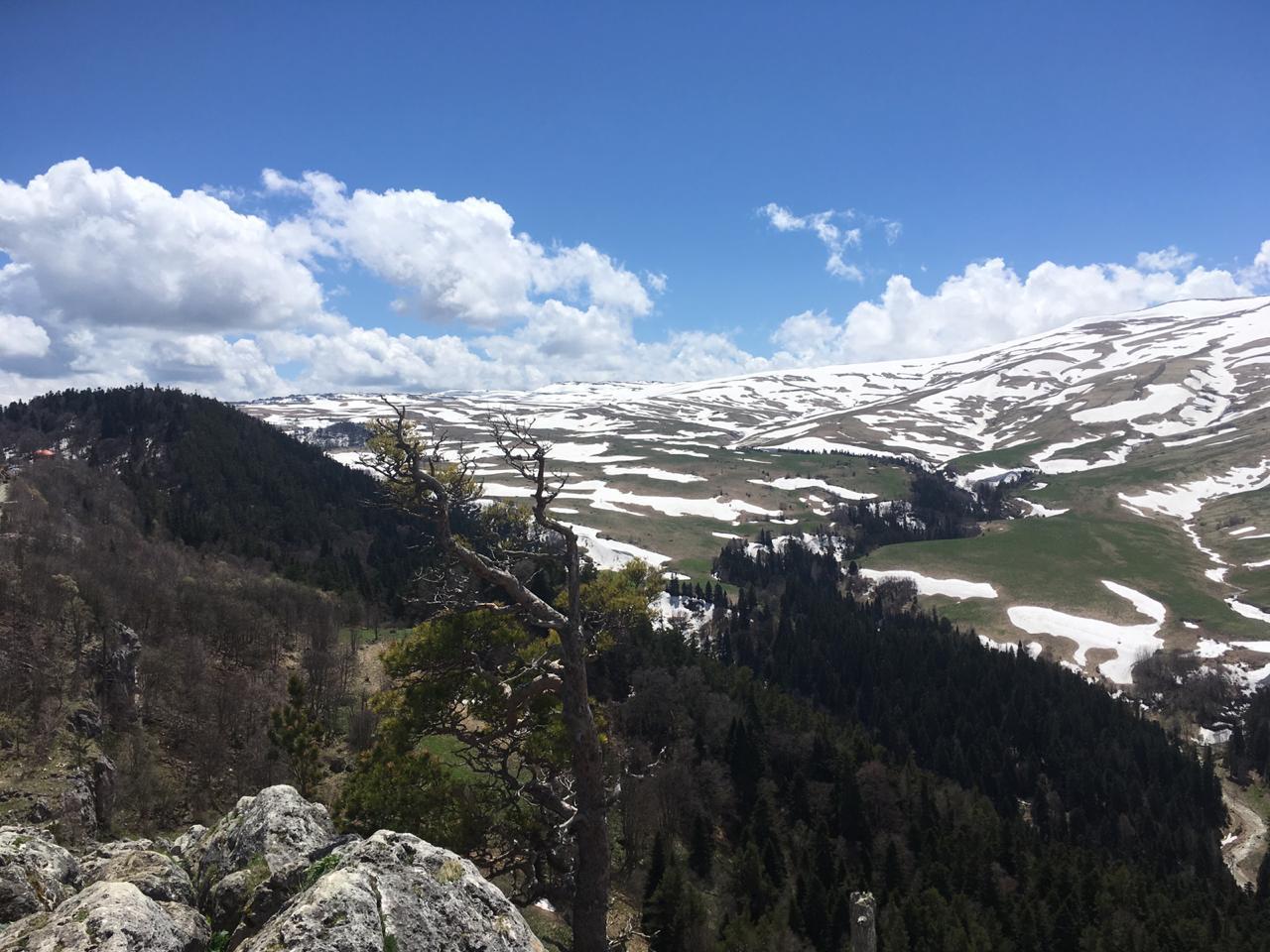 Плато Лаго-Наки 🌟 Мир альпийских лугов