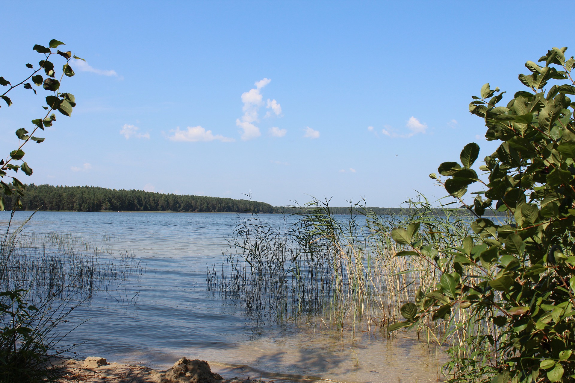 Озеро Красавица Ленинградская область