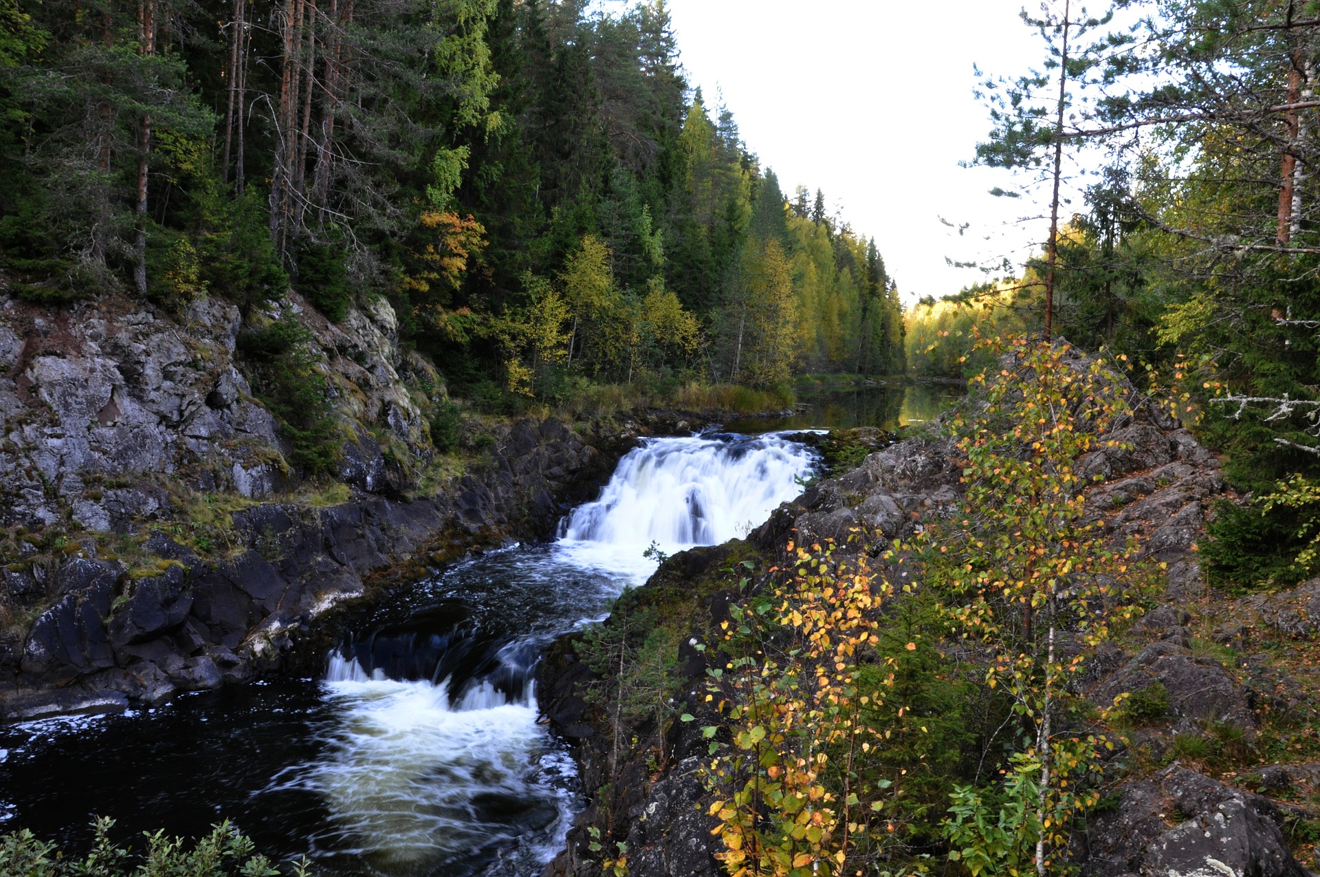 Водопад Кивач 🌟 Заповедная природа Карелии