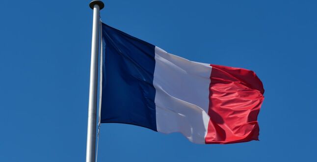 Во Франции пять школ закрыли из-за нашествия клопов