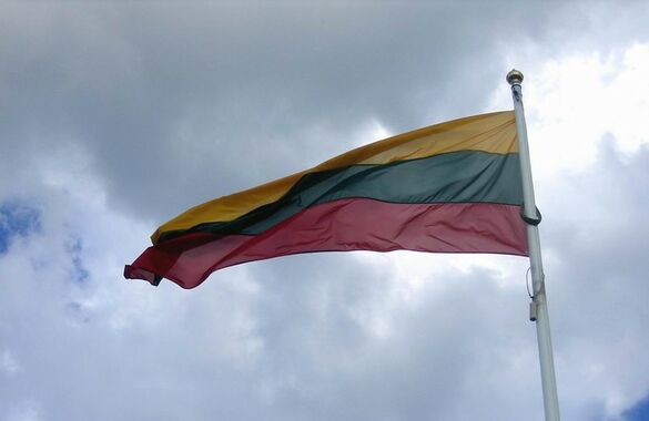 В Литве введут обязательную воинскую службу после школы